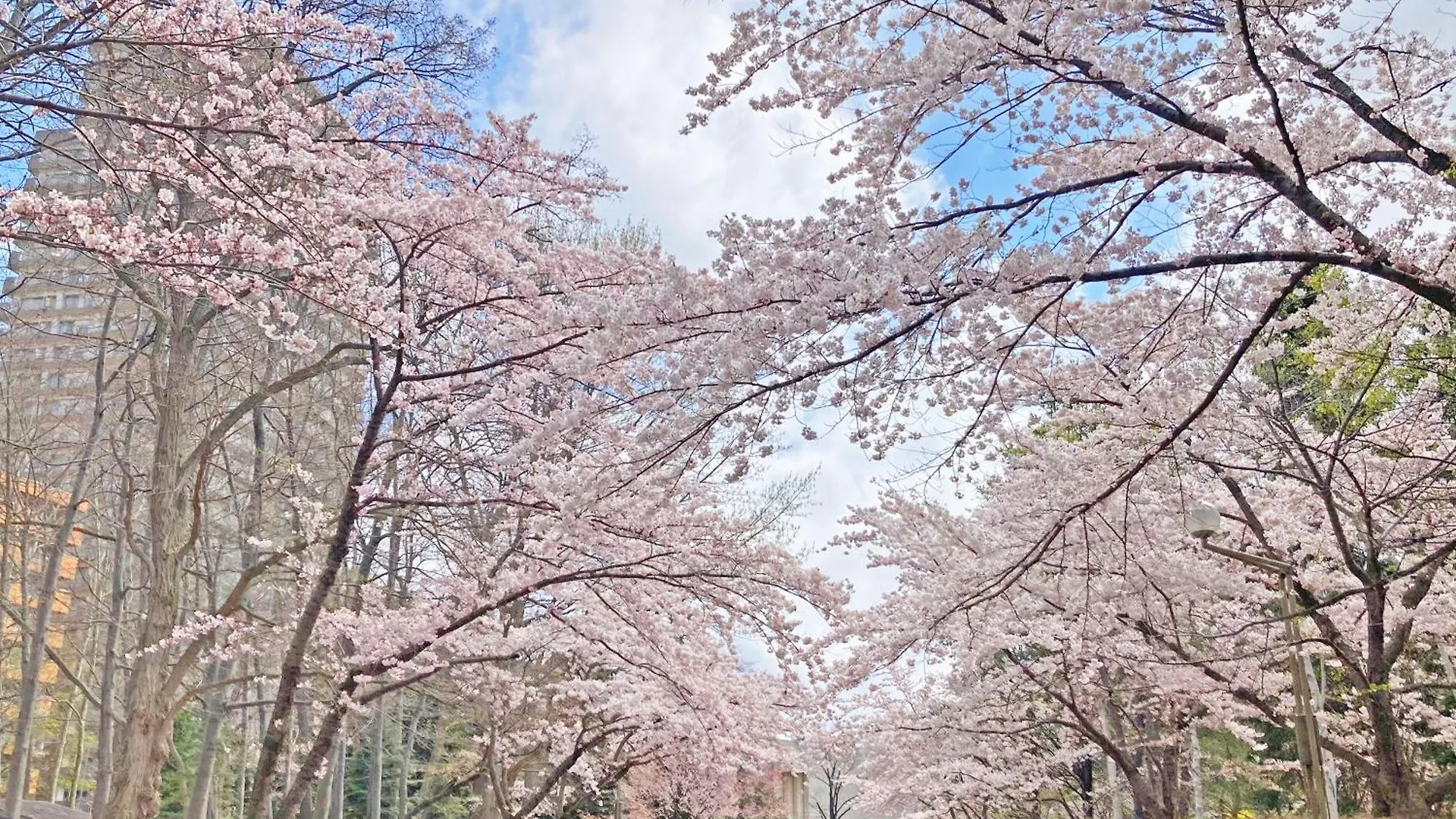 Hotel Lifort Sapporo Japón