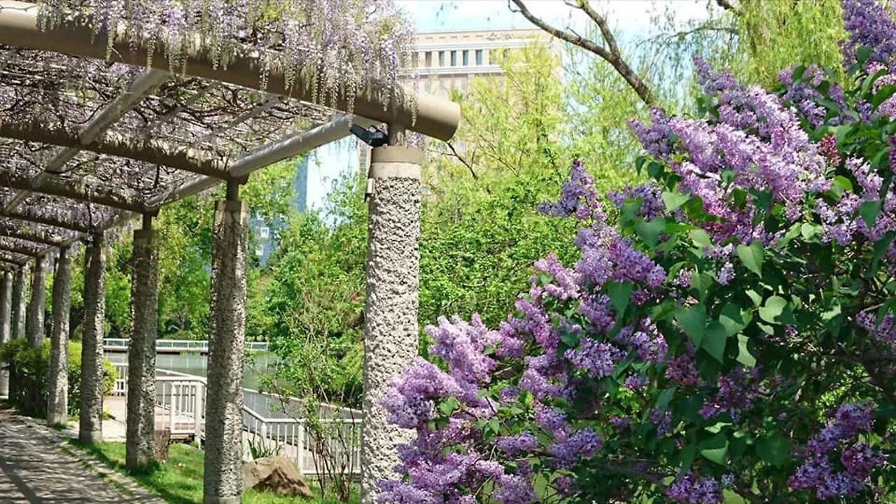 Hotel Lifort Szapporo
